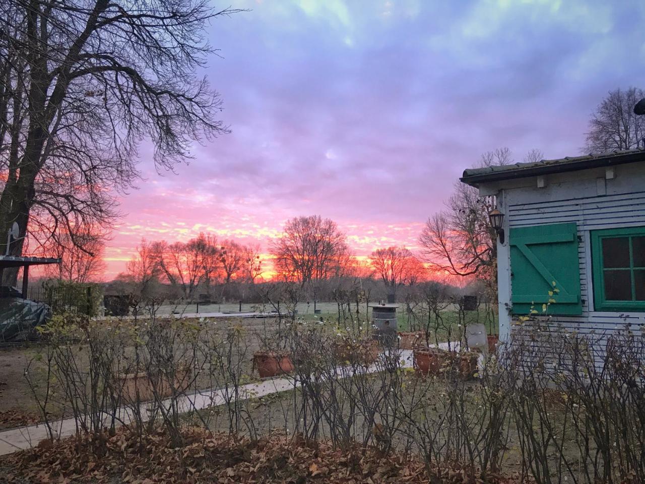 Landhaus Dessau エクステリア 写真